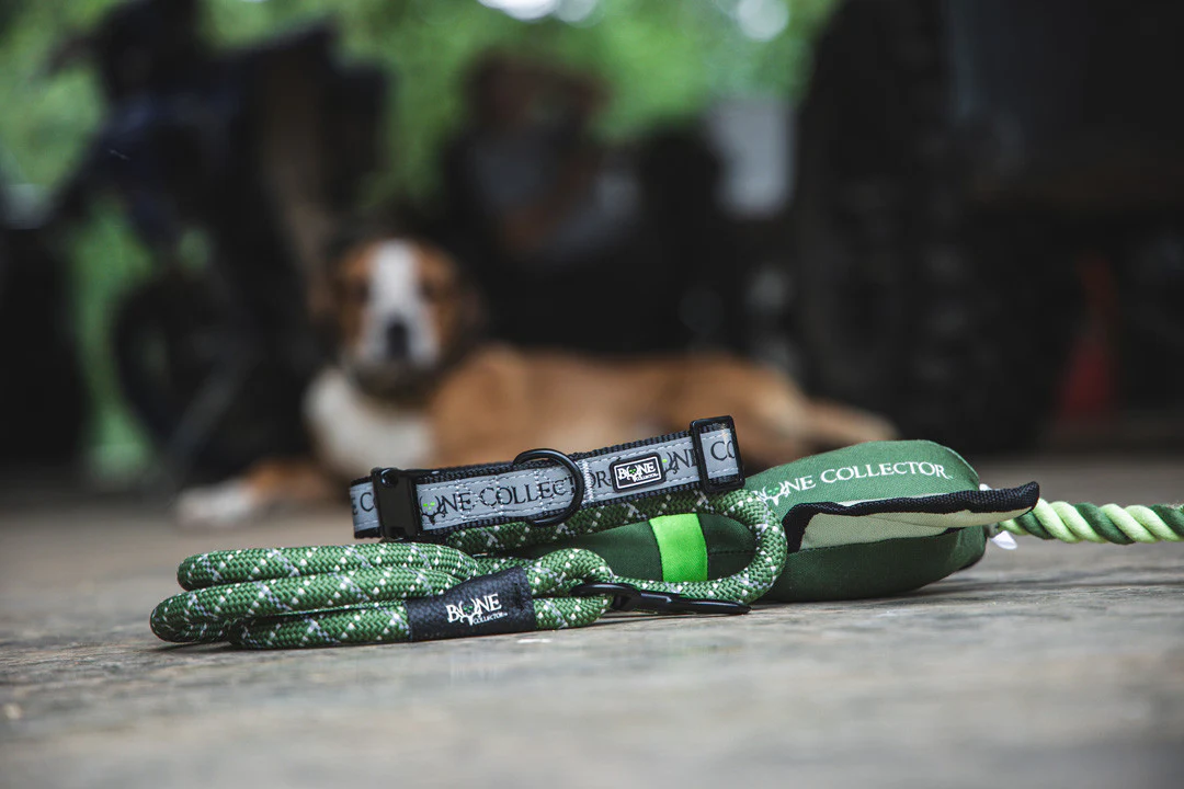 Bone Collector Reflective Pet Collar - Image 7