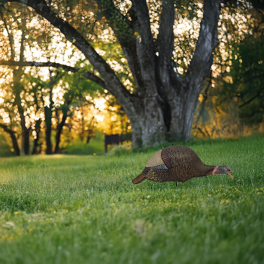 Feeding Hen Decoy - Image 3