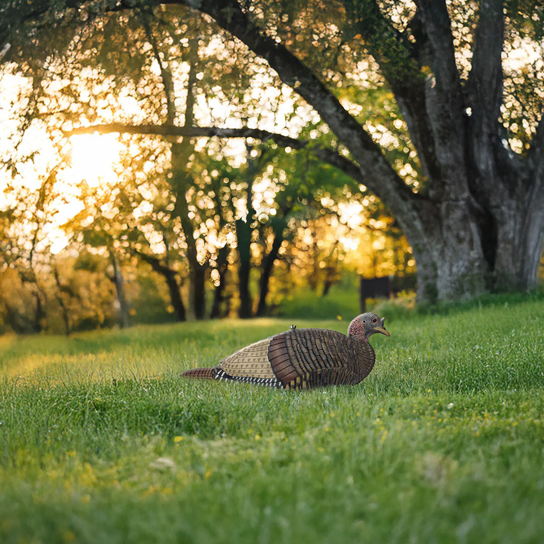 Lay Down Hen Decoy - Image 3