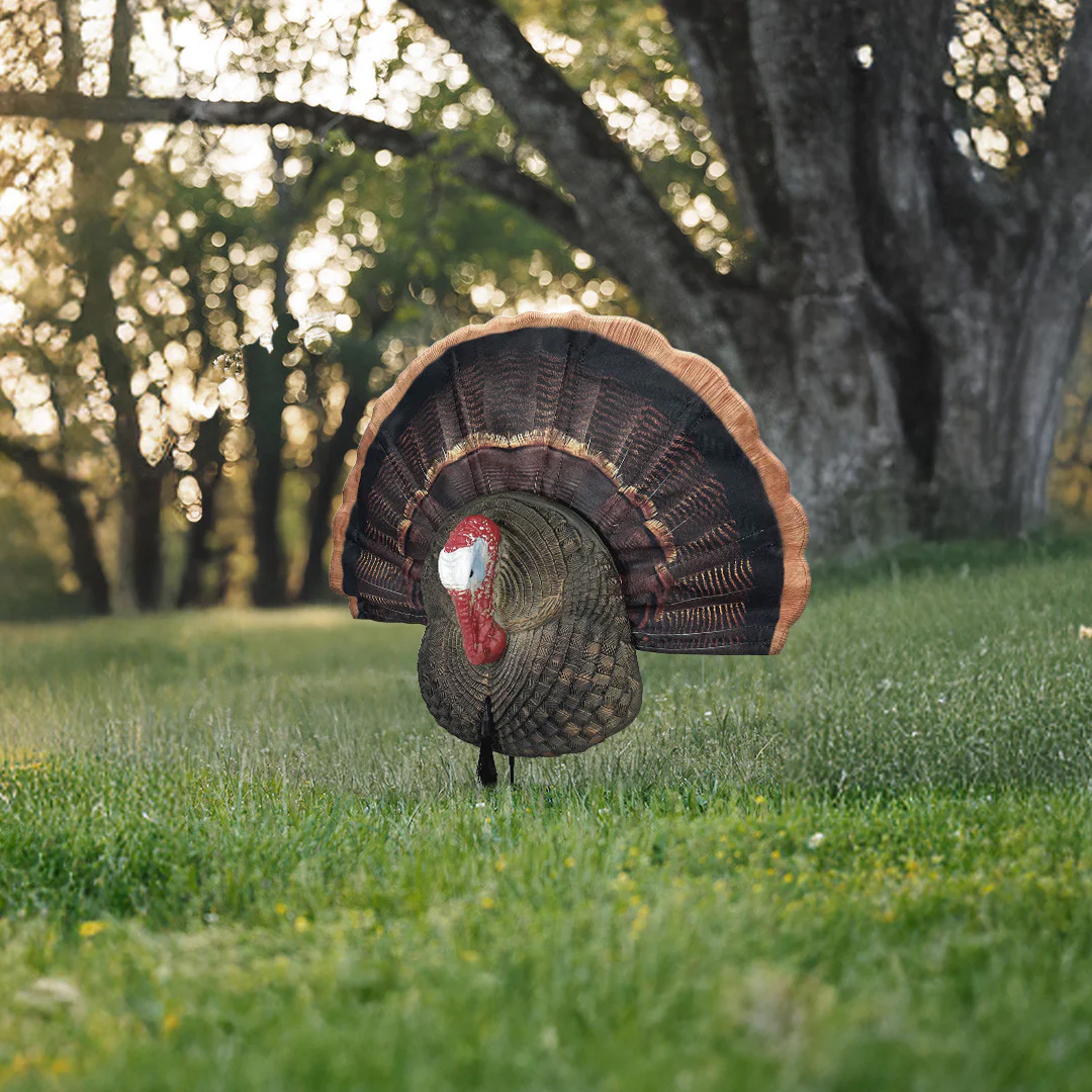 Quarter Body Tom Decoy - Image 4