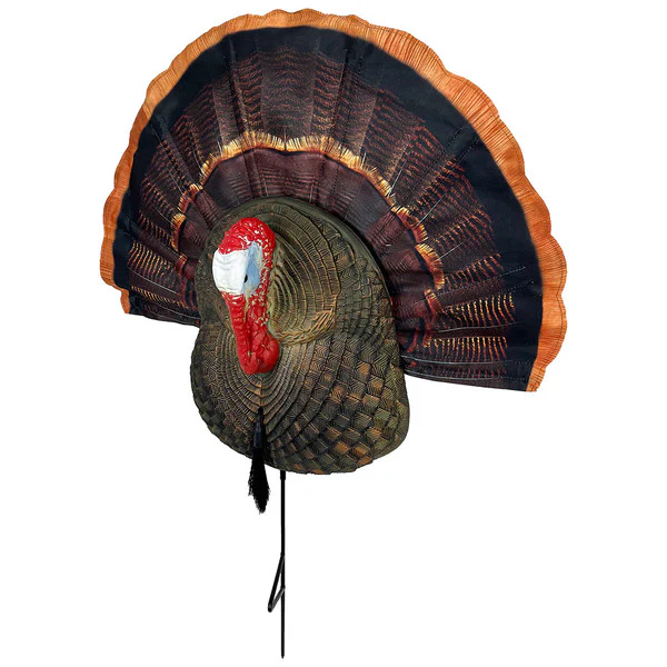 Quarter Body Tom Decoy - Image 5