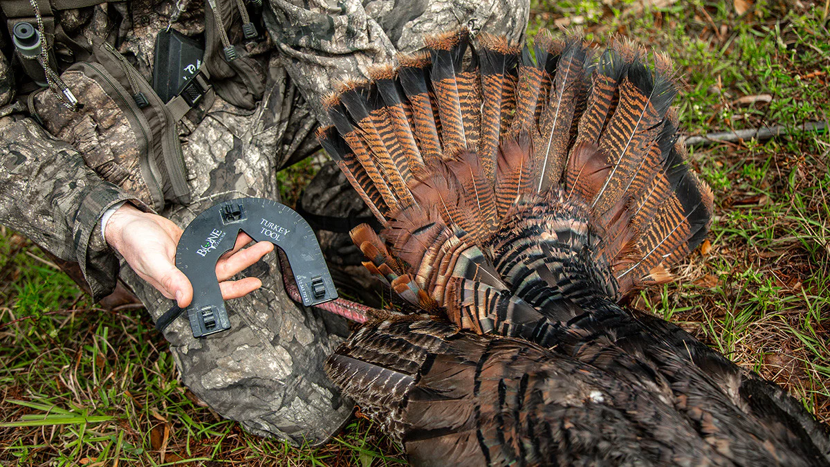 Turkey Tool - Image 2
