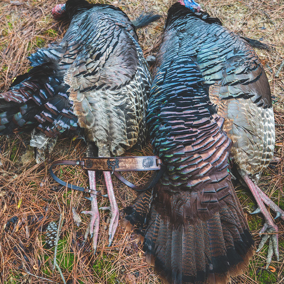 Turkey Tote - Image 7